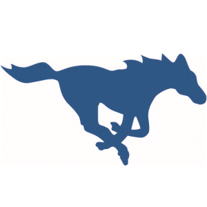 Ridgeview High School logo